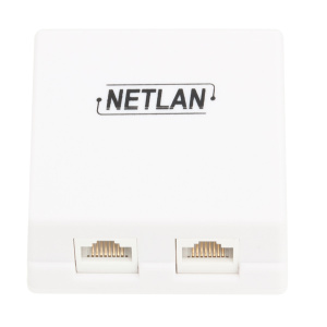 Настенная розетка NETLAN, 2 порта, Кат.5e , RJ45/8P8C, 110, T568A/B, неэкран., белая Настенная розетка NETLAN, 2 порта, Кат.5e , RJ45/8P8C, 110, T568A/B, неэкран., белая