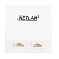 Настенная розетка NETLAN, 2 порта, Кат.5e , RJ45/8P8C, 110, T568A/B, неэкран., белая